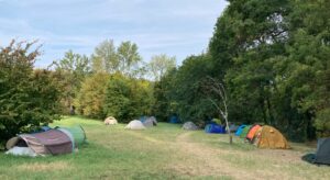 Bosco di Ospizio, la Procura apre un&rsquo;inchiesta per lo stop ai lavori