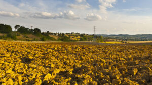 Agricoltura: a picco i guadagni di chi produce, sugli scaffali prezzi alle stelle