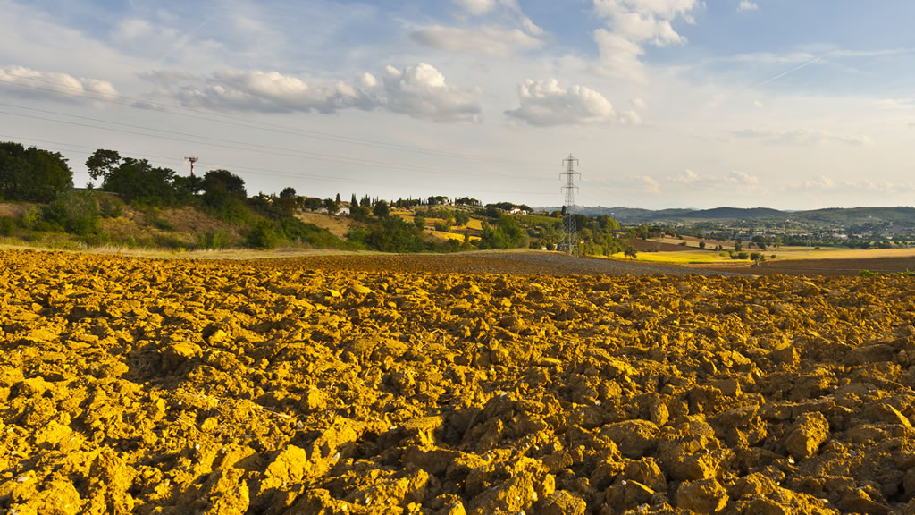 Agricoltura: a picco i guadagni di chi produce, sugli scaffali prezzi alle stelle