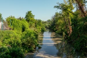 Sul torrente Rodano il parco: “Terre e acque dell’Ariosto”