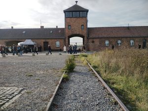 Cartoline di reggiani da Auschwitz: ricordare e mai dimenticare