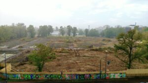 Bosco Ospizio, Conad: vietati solo ulteriori tagli, il cantiere va avanti